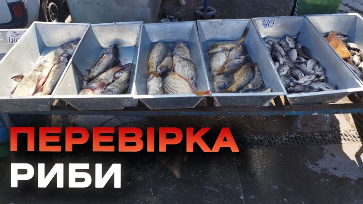 Embedded thumbnail for У Вінниці на місцевих ринках перевірили рибу на свіжість