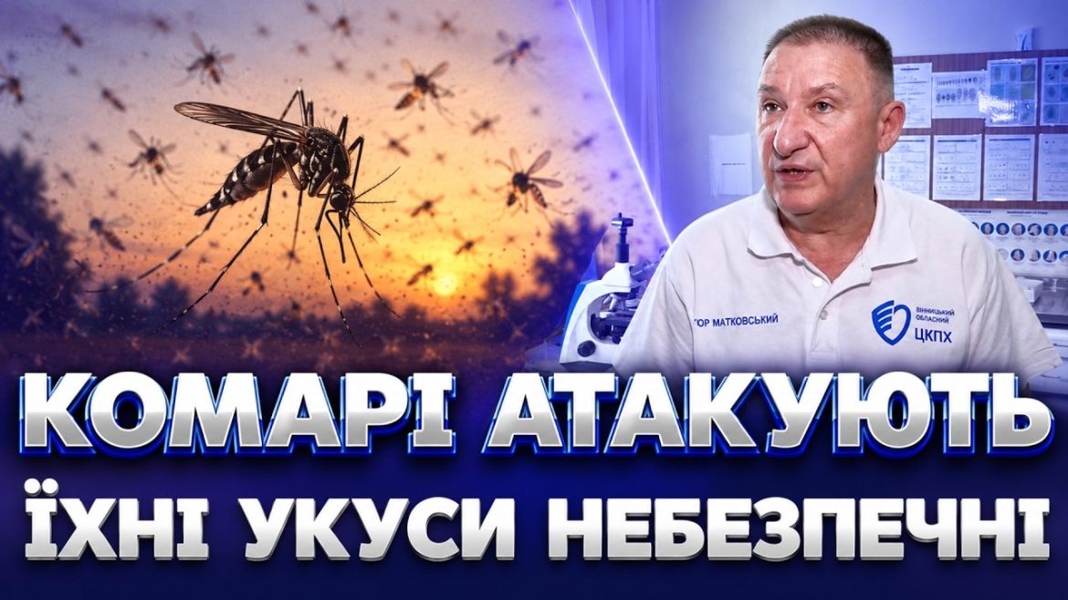 Embedded thumbnail for Чому вінницькі комарі стали агресивнішими та як від них захиститися