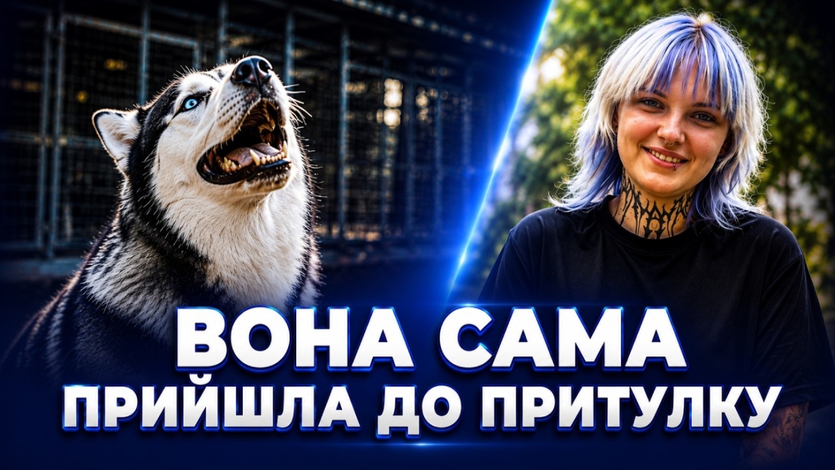 Embedded thumbnail for Хаскі з різнокольоровими очима знайшла родину після життя у притулку