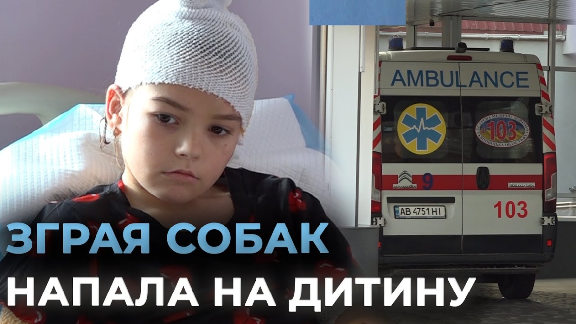 Embedded thumbnail for Десятки ран, часткова ампутація вуха: наслідки нападу собак на 11-річну дівчинку на Вінниччині