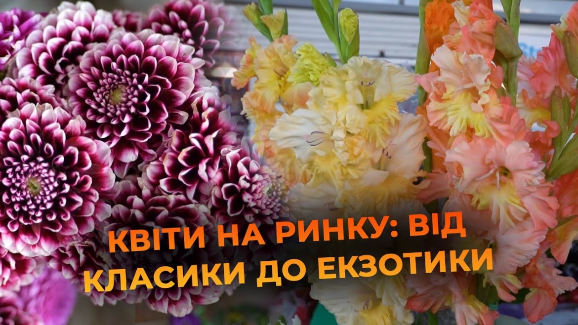 Embedded thumbnail for Від ніжних польових композицій до екзотичних букетів: як правильно обирати квіти на ринку