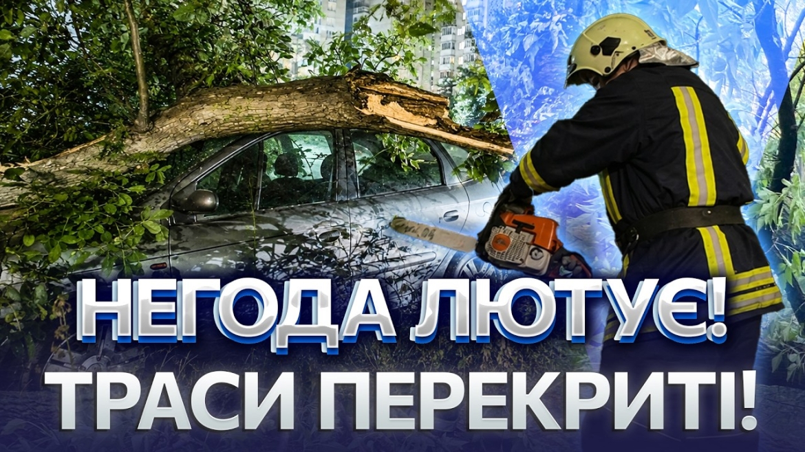 Embedded thumbnail for У Вінниці дерево впало на припарковане авто через сильний вітер