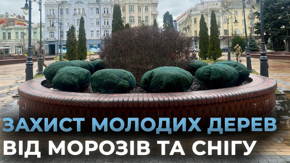 Embedded thumbnail for У Вінниці випробовують європейський метод захисту рослин взимку - мати з очерету та агроволокна