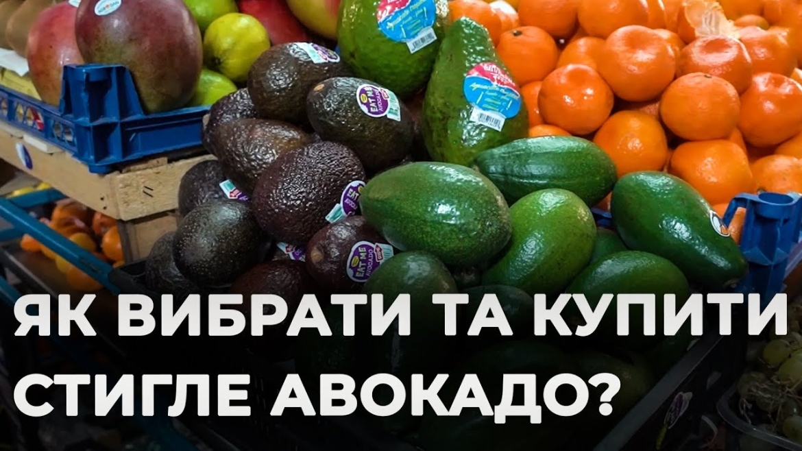 Embedded thumbnail for Як вибрати найсвіжіше та найсмачніше авокадо на ринку: поради для вінничан