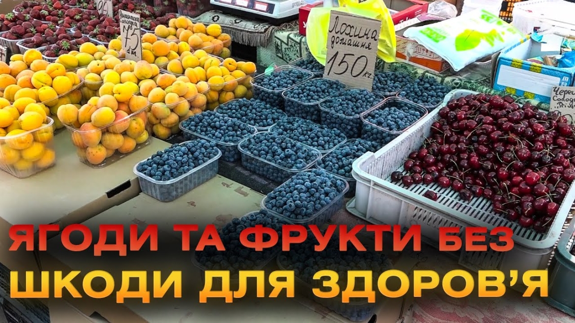 Embedded thumbnail for Сезон українських ягід та фруктів. Як їх правильно обробляти перед вживанням та скільки можна з&#039;їсти