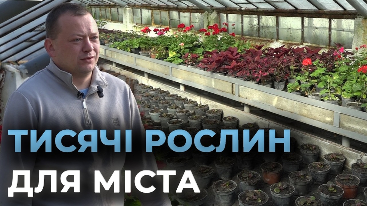 Embedded thumbnail for Квіти для Вінниці: як у теплицях вирощують тисячі рослин для озеленення міста