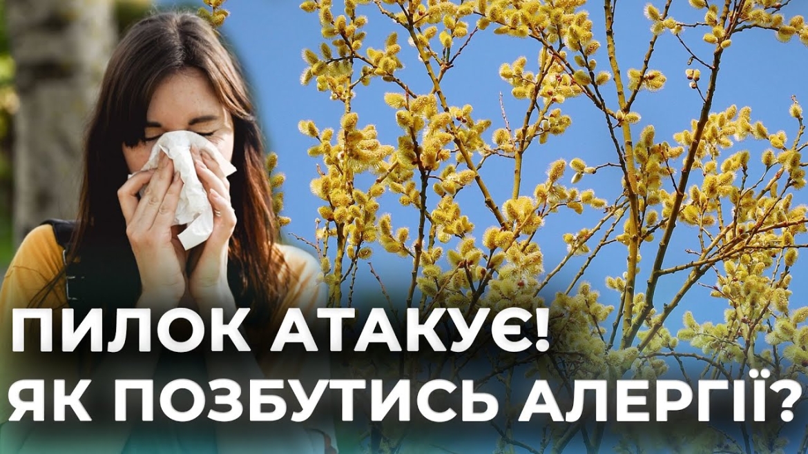 Embedded thumbnail for Небезпечні рослини для алергіків та метод лікування весняної хвороби