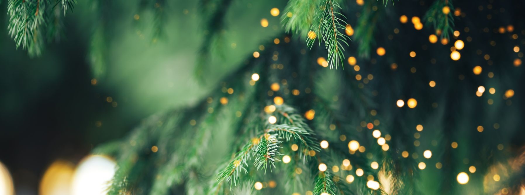 Телеканал ВІТА ТБ — головні новини та події міста Вінниці