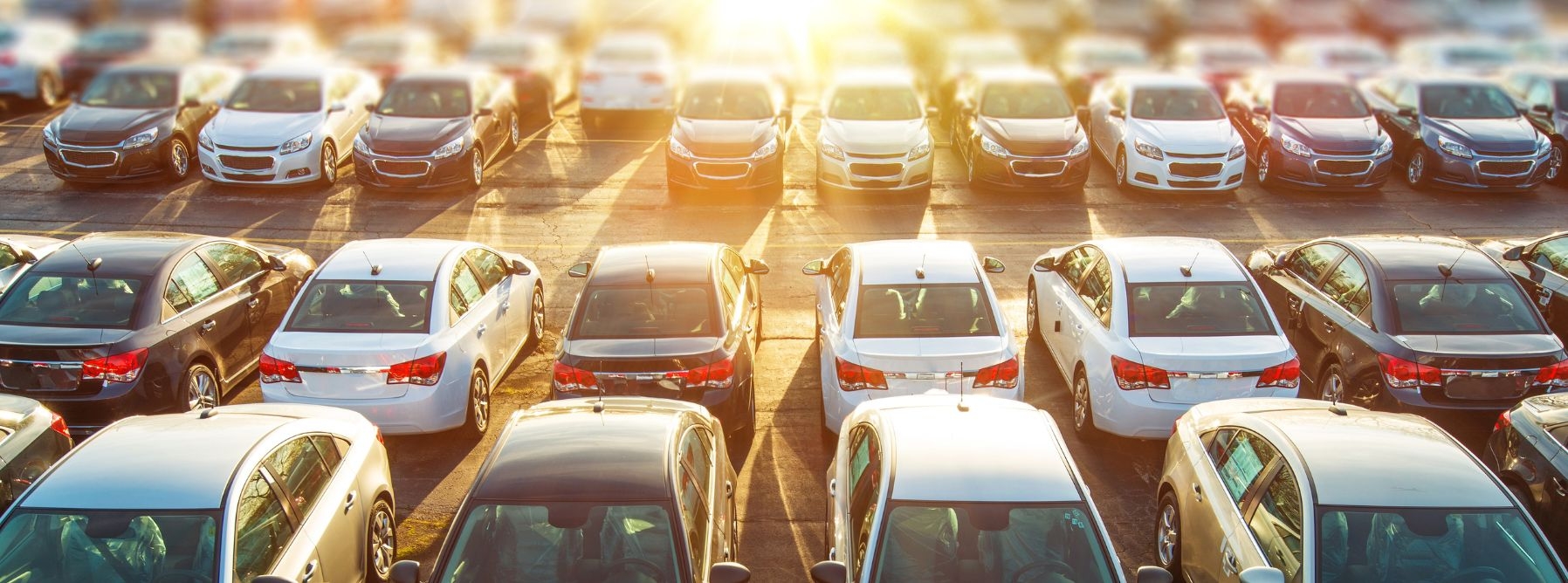 Телеканал ВІТА ТБ — головні новини та події міста Вінниці