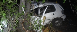 Смертельна ДТП неподалік Супрунівки: водій за кермом Volkswagen в’їхав у дерево