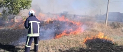 8 разів зминулої доби рятувальники на Вінниччині гасили пожежеі в екосистемах