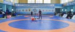 Вінничани привезли "золото" з чемпіонату України з вільної боротьби