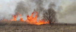 На Вінниччині рятувальники за добу 14 разів гасили пожежі в екосистемах