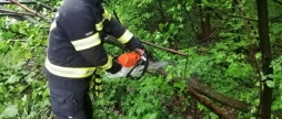 У Вінницькому районі дерево, яке впало на дорогу, перекрило рух транспорту