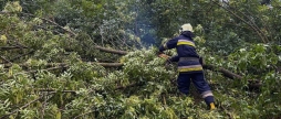 20 виїздів за добу рятувальники Вінниччини ліквідовують наслідки негоди