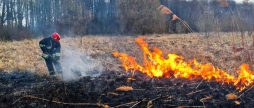 23 пожежі ліквідували за добу рятувальники в екосистемах Вінницької області