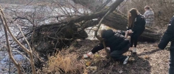 2400 мішків сміття як вінницькі студенти та комунальники рятували екологію міста