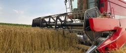 Аграрії Вінниччини намолотили вже понад 3,3 млн тонн зерна