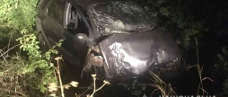 П’яний за кермом влетів у дерево. У Барському районі сталася ДТП