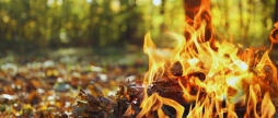 Більше жодних вогнищ у Вінниці вісім мобільних груп щодня патрулюють приватний сектор