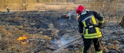 Через людську недбалість горять екосистеми у Вінницькій області
