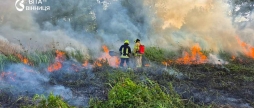Через людську недбалість вогонь обпалив на Вінниччині вже понад 248 гектарів землі
