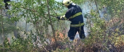 Чотири пожежі на відкритих територіях сталися на Вінниччині