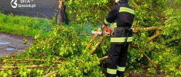 Дерева падали прямо на дорогу наслідки негоди у двох районах Вінницької області