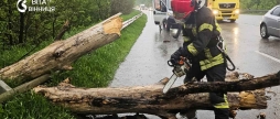 Дерево на зупинці та затоплені двори стихія випробувала Вінниччину на міцність