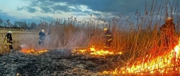 Дев'ять гектарів землі за добу вигоріло у Вінницькій області