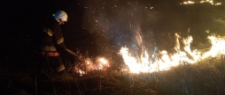 Дев'ять пожеж в екосистемах сталося за добу на Вінниччині