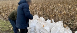 Директор будинку-інтернату на Вінниччині змушував підопічних працювати на приватних ділянках