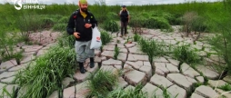 Еколог розповів, чому відбудова Каховської ГЕС може стати помилкою