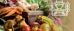 Фермерська продукція, крафтові сири й мед у Вінниці проведуть сільськогосподарський ярмарок