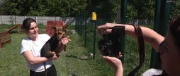 Фотопроєкт «Хочу додому»: волонтерка допомагає безпритульним тваринкам знайти дім