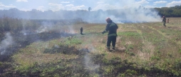 Горіло майже у всіх районах області та Вінниці - рятувальники отримали дев’ять викликів