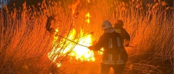 Гріли каченят і мало не спалили дім вогняна доба на Вінниччині — сім нічних виїздів
