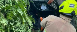 У Піщанській громаді ВАЗ злетів з дороги - водій загинув на місці