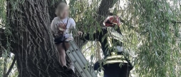 У Вінниці дівчинка залізла на дерево, а спуститись не змогла — викликали рятувальників