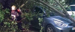 Комунальні служби разом з рятувальниками ліквідували наслідки негоди у Вінниці