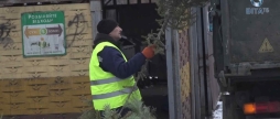 Комунальники Вінниці вже почали утилізувати новорічні ялинки - екологічно та ощадливо