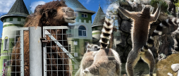 Мадагаскар по-вінницьки: весняний фоторепортаж з Подільського зоопарку