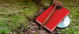 Махінації з понад 19 га землі на Вінниччині судитимуть держреєстратораМахінації з понад 19 га землі на Вінниччині судитимуть держреєстратора