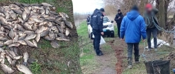 Масштабне браконьєрство на Вінниччині збитки перевищили 7 мільйонів гривень