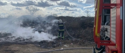 На Вінниччині протягом доби горіли екосистеми в усіх районах області - вигоріло 18 гектарів