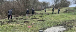 На Калинівщині висаджують саджанці сосни та ялини
