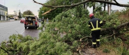 На Вінниччині рятувальники прибирали повалені вітром дерева