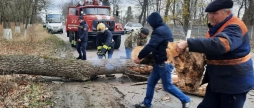 На Вінниччині рятувальники прибрали повалені вітром дерева з автошляхів