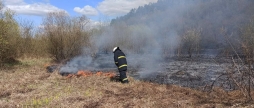 За добу на Вінниччині вигоріло понад три гектари землі через паліїв трави
