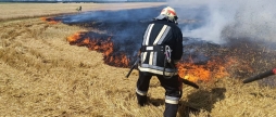 На Вінниччині за добу рятувальники вісім разів гасили пожежі в екосистемах